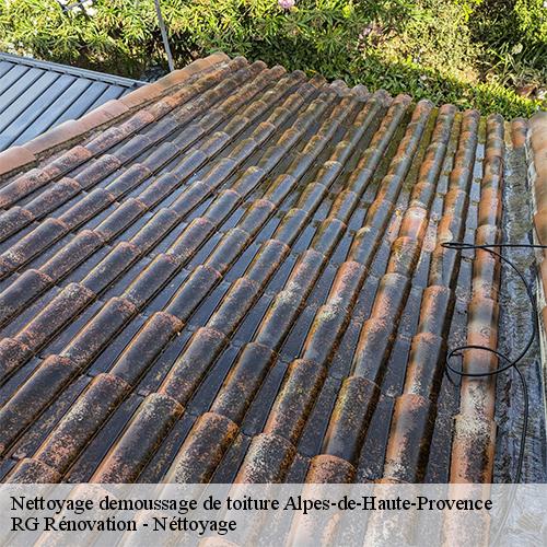 Nettoyage demoussage de toiture-10